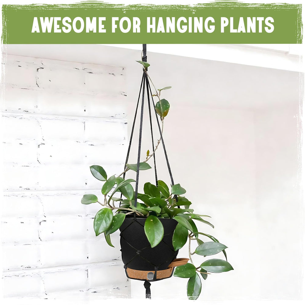 Goproauto self-watering pots in a home office setting