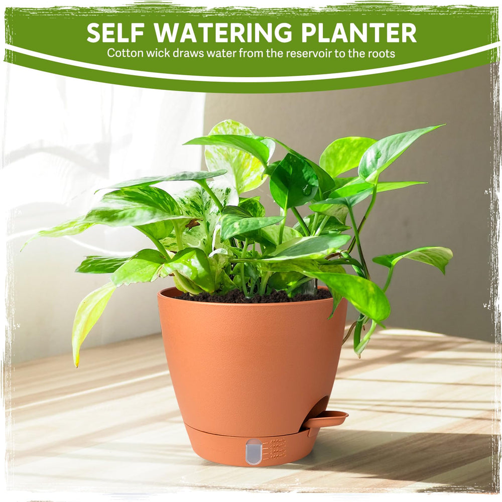 Goproauto Self Watering Pots showing clear water level indicator