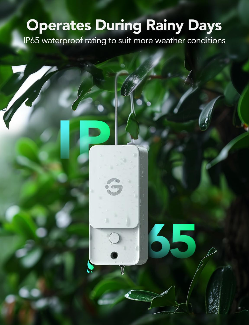 GoveeLife Wi-Fi Gateway Thermo-Hygrometer with smartphone app showing readings