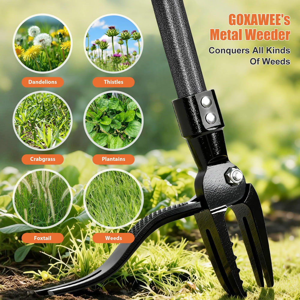 GOXAWEE Stand Up Weed Puller Tool with weeds removed