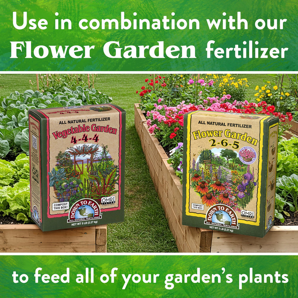 Granules from Down To Earth fertilizer on soil