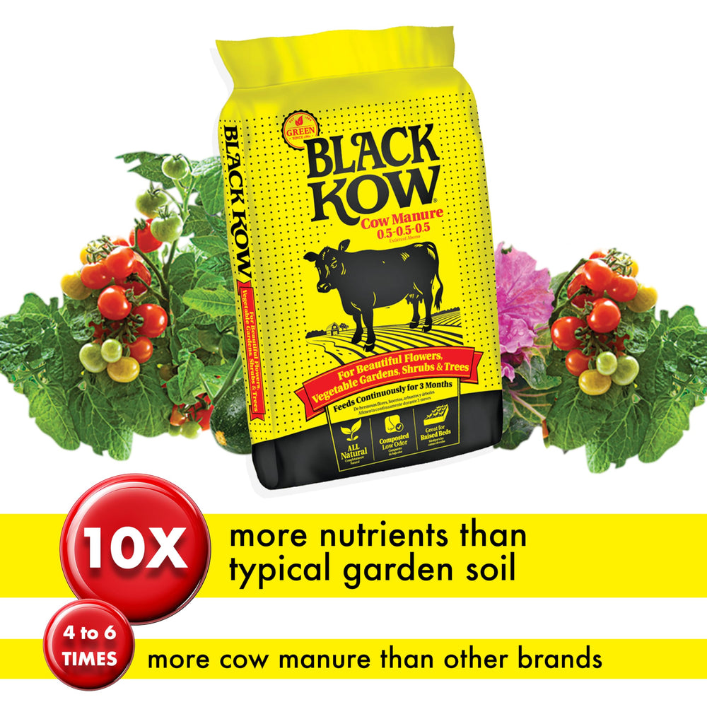 Granules of Black Kow Composted Cow Manure Fertilizer