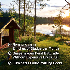 Granules of Cabin Obsession Pond Sludge Remover