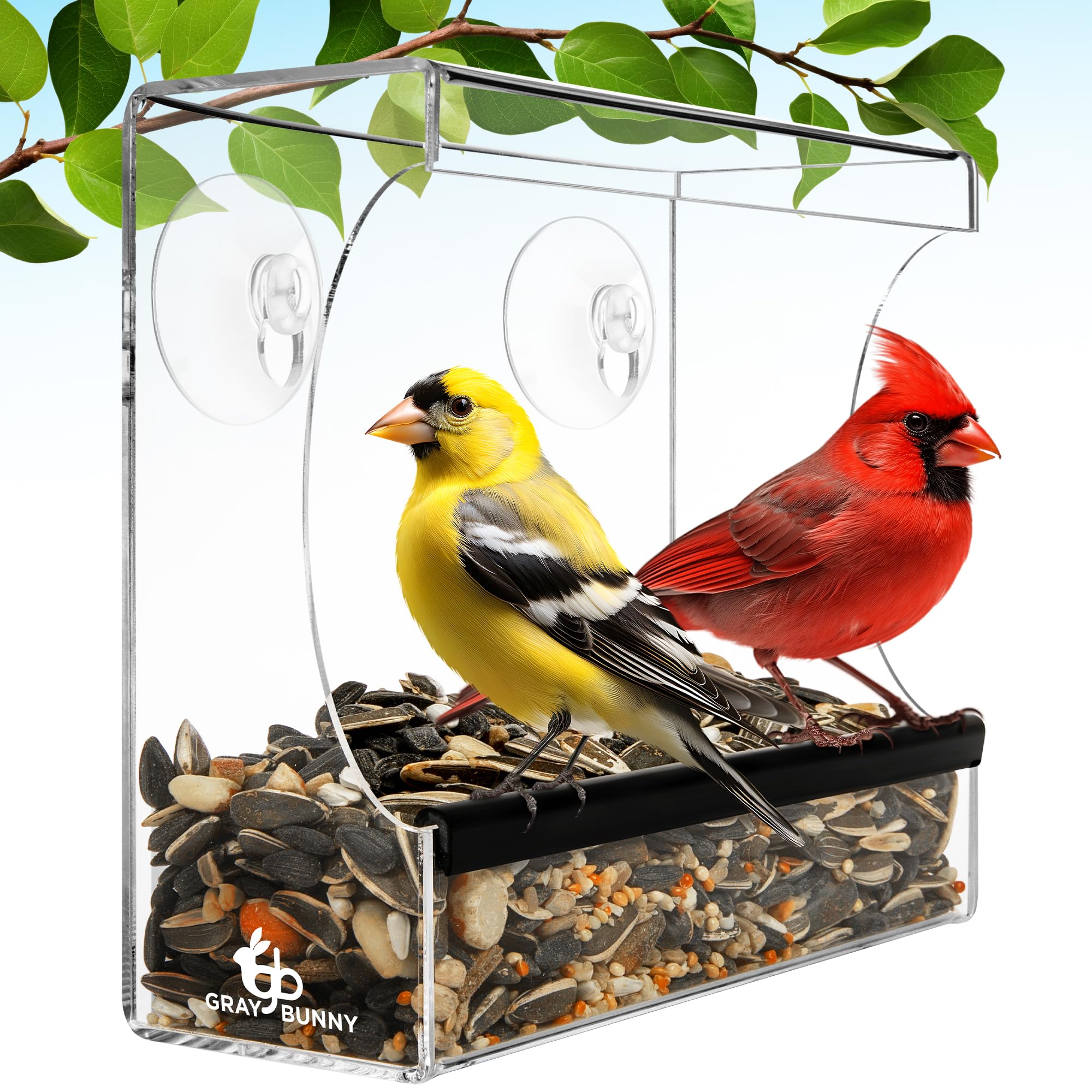 Gray Bunny Clear Window Bird Feeder front view with suction cups
