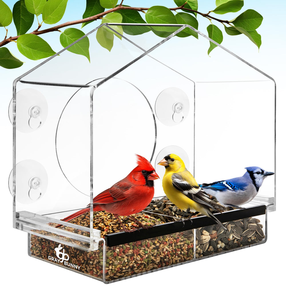 Gray Bunny Window Bird Feeder front view with clear acrylic body