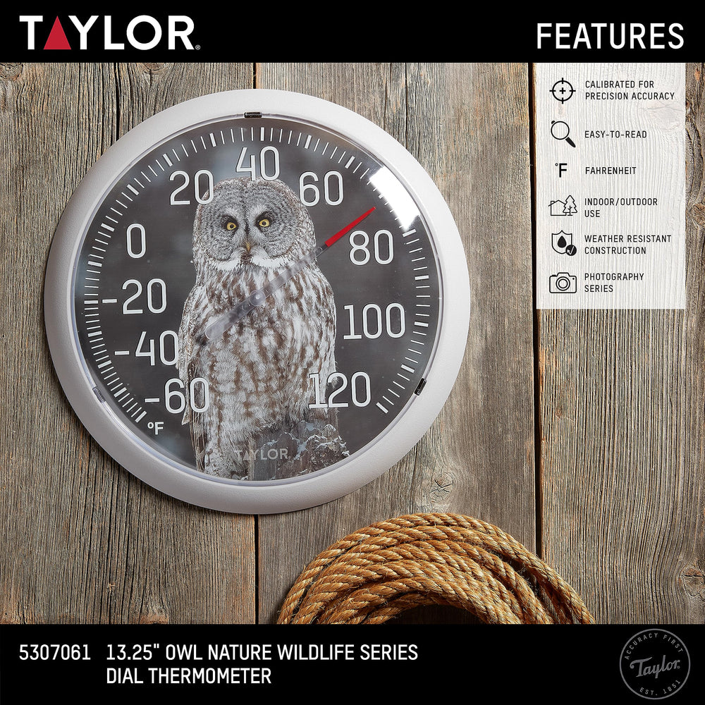Gray Owl artwork on the Taylor Dial Thermometer