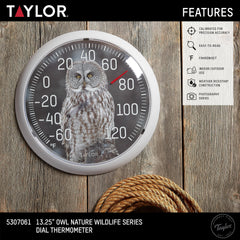 Gray Owl artwork on the Taylor Dial Thermometer