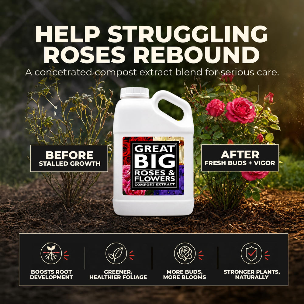 Great Big Plants Fertilizer support in garden setting