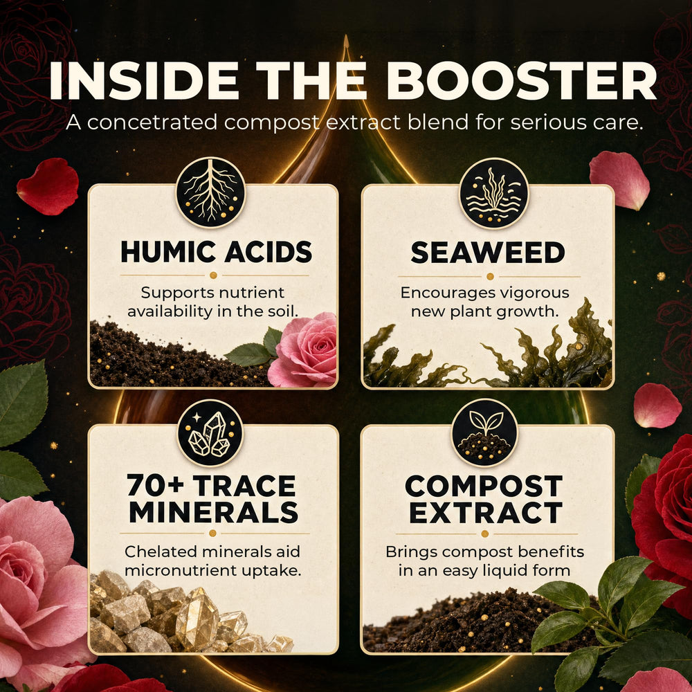 Great Big Plants Fertilizer support nutrient profile chart