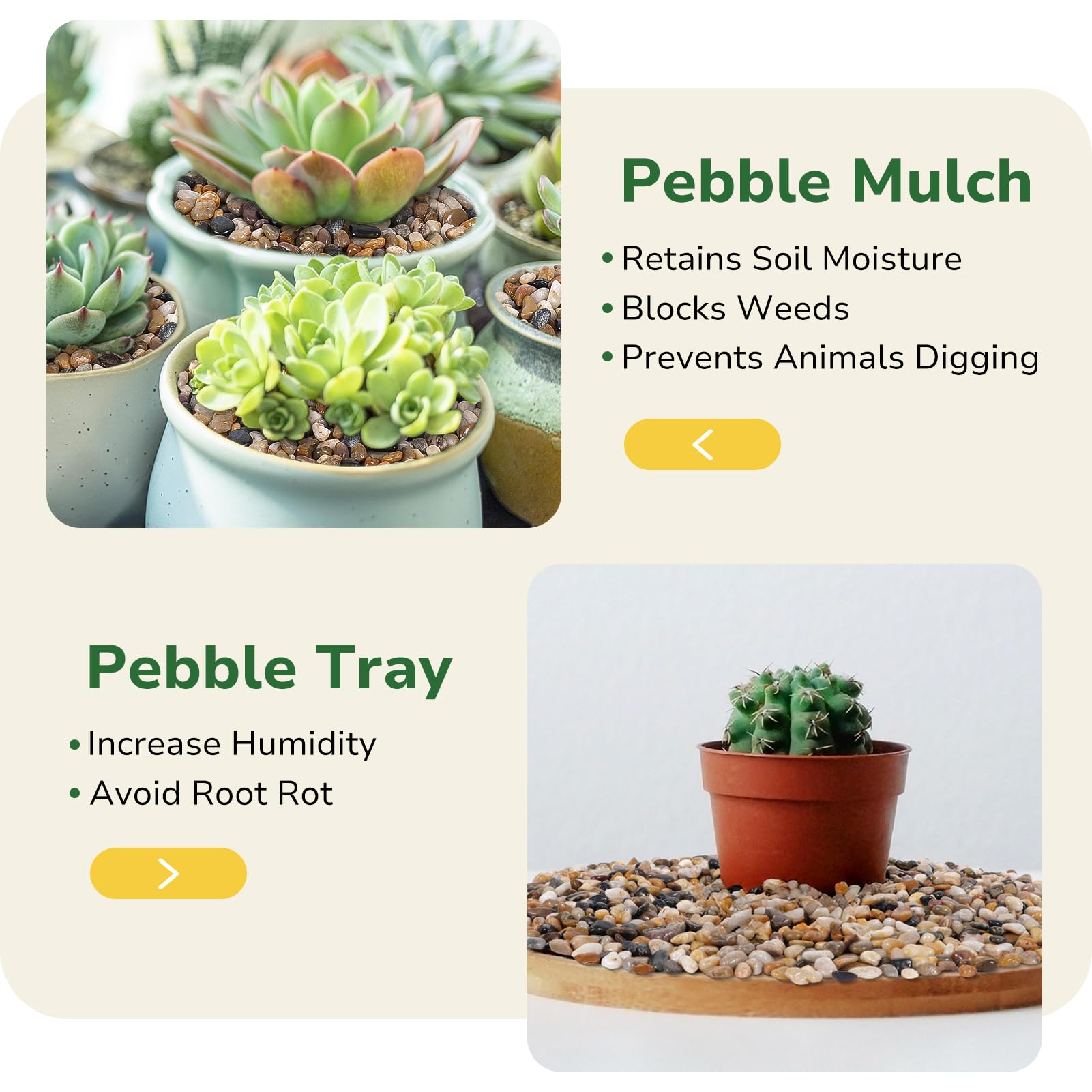GreatBuddy 10lb Mixed Color Pebbles in a plant pot