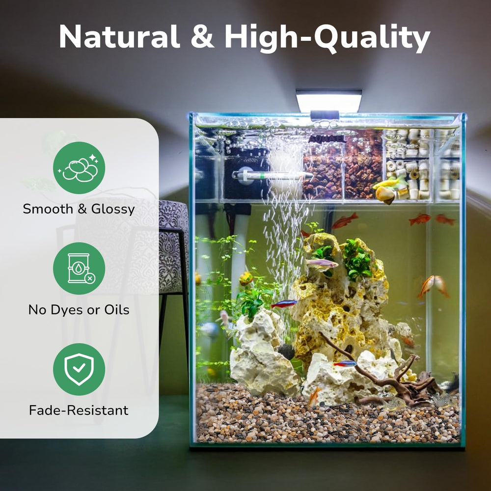 GreatBuddy 10lb Mixed Color Pebbles in an aquarium
