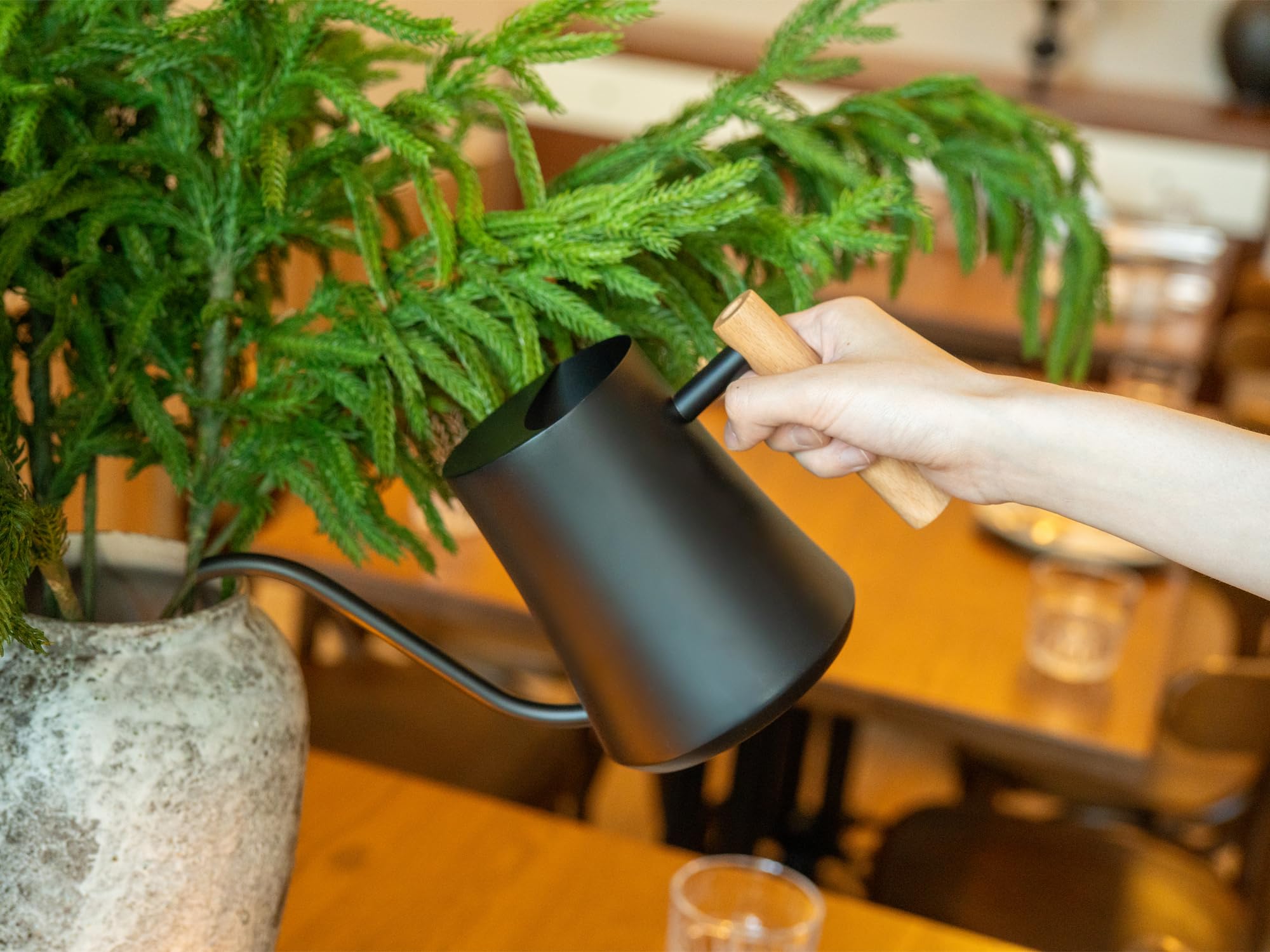 Green Moon Watering Can being used on indoor plants