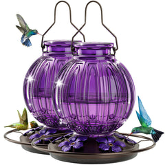 Grete Gotye 2 Pack Glass Hummingbird Feeder with Purple Design