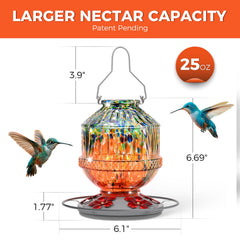 Grete Gotye Hummingbird Feeder hanging in garden