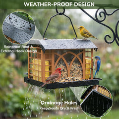 Grete Gotye Metal Bird Feeder with suet cage and locking hook