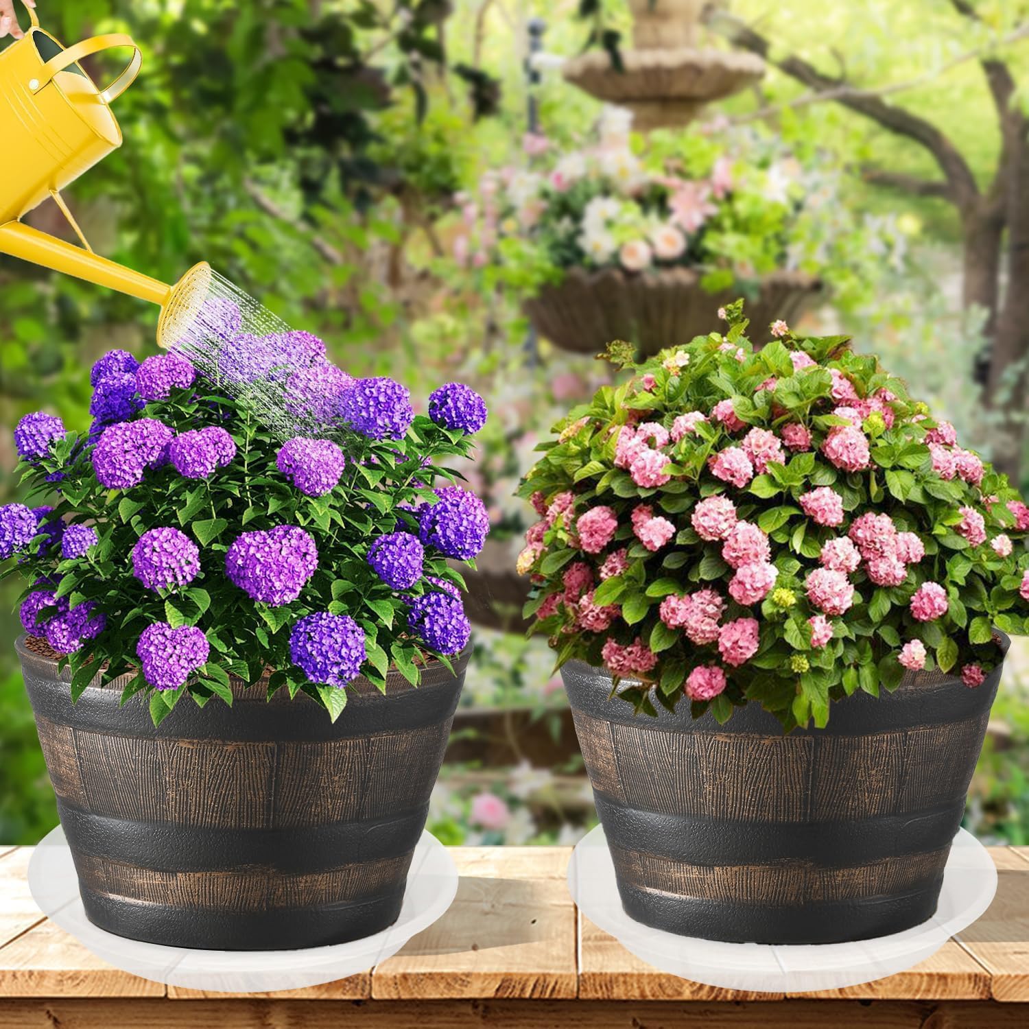 Grjoprt 12 inch clear plant saucer in garden