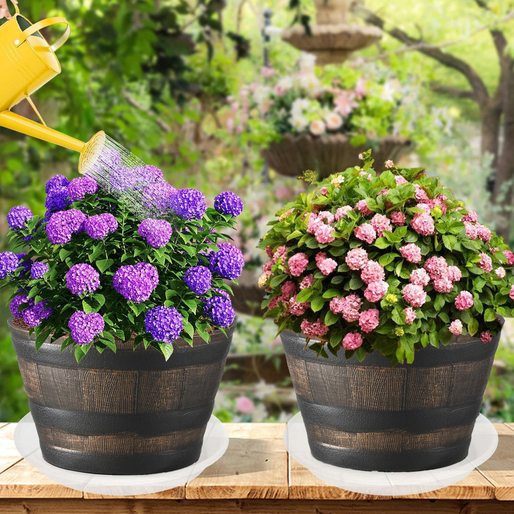 Grjoprt 12 inch clear plant saucer in garden