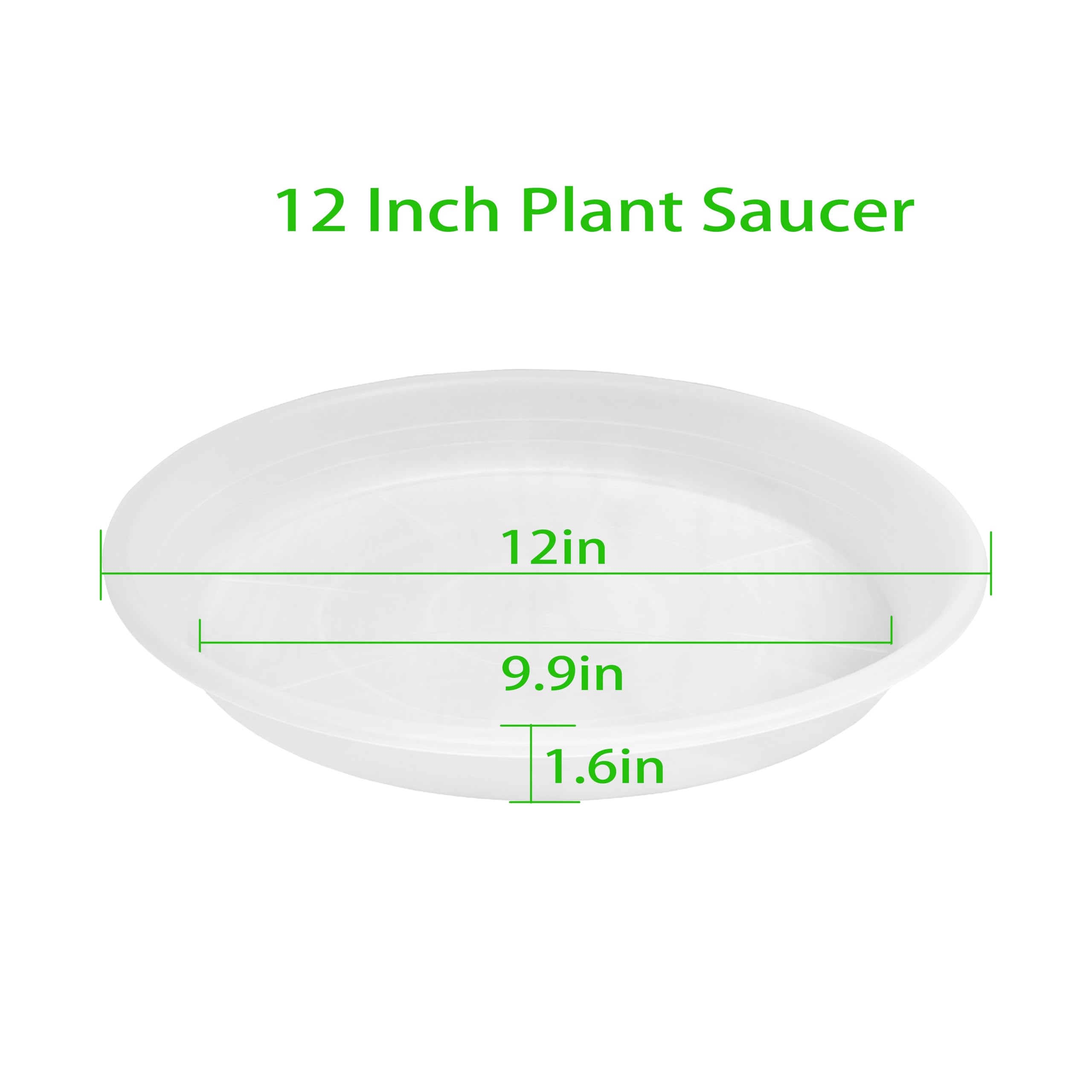 Grjoprt 12 inch clear plant saucer side view
