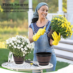 Grjoprt 12 inch clear plant saucer with plants