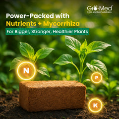 Gro-Med Coco Coir in a planting tray with seedlings