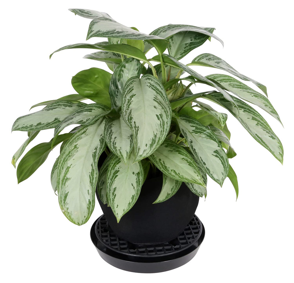 Gro Pro NX Level Pot Stand packaging