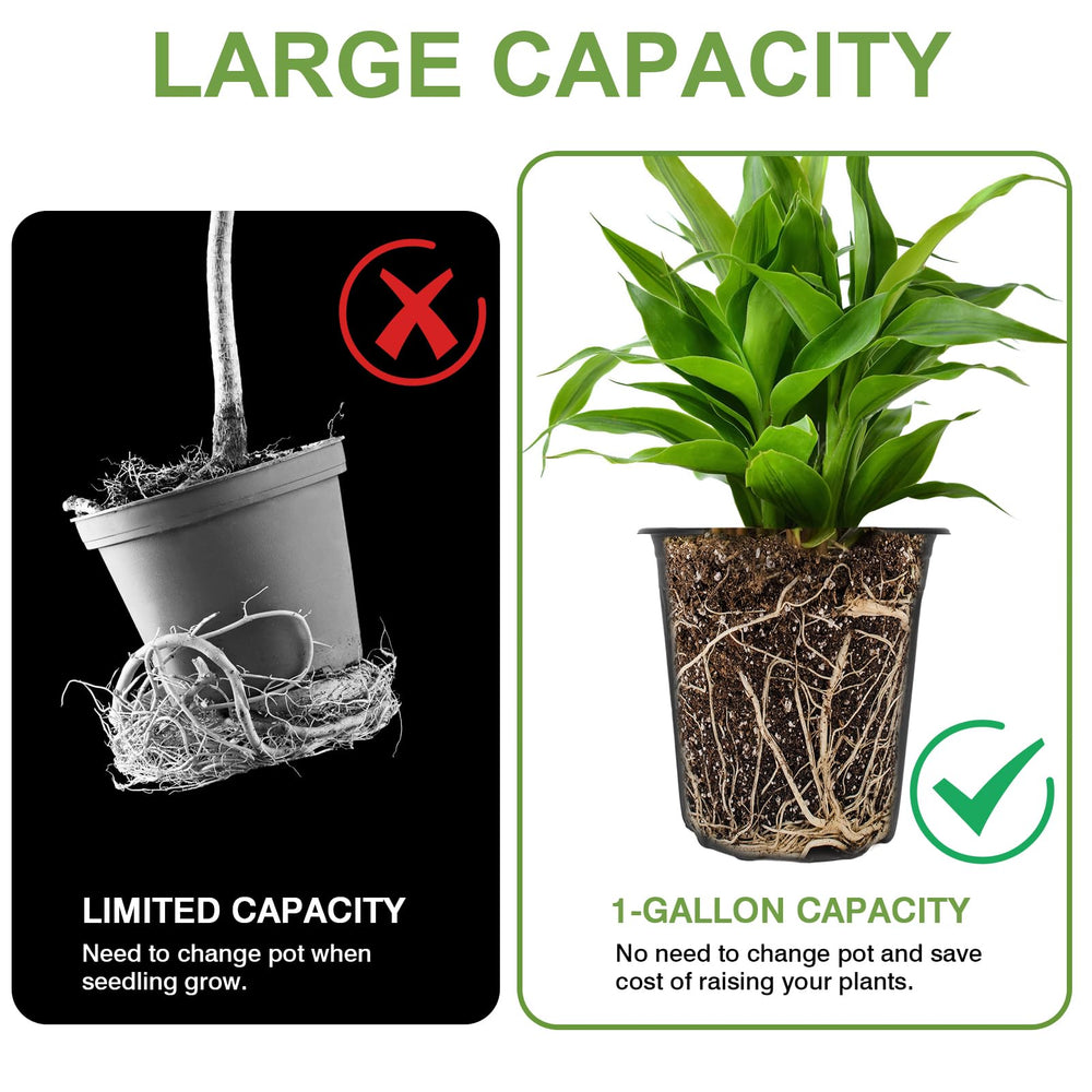 GroTheory nursery pots with plant labels