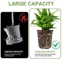 GroTheory nursery pots with plant labels