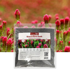 Groundio 2LB crimson clover seeds package front view