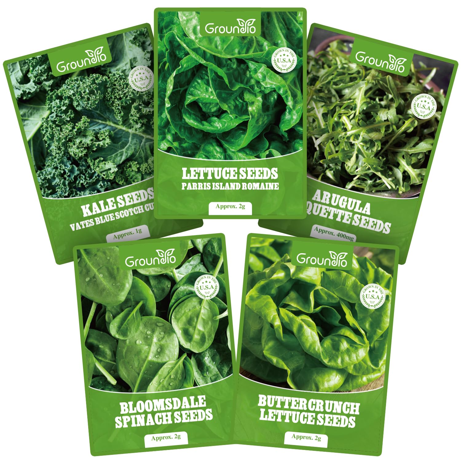 Groundio 5 Variety Lettuce Seeds Pack front view