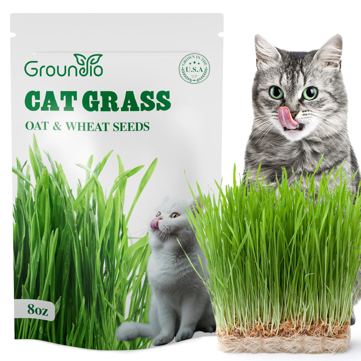 Groundio 8oz Cat Grass Seeds front packaging view