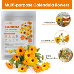Groundio Calendula Seeds being planted in garden soil