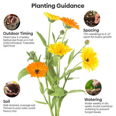 Groundio Calendula Seeds packaging with moisture-proof bag