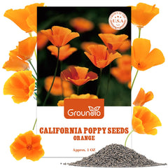Groundio California Poppy Seeds package front view with vibrant orange seeds