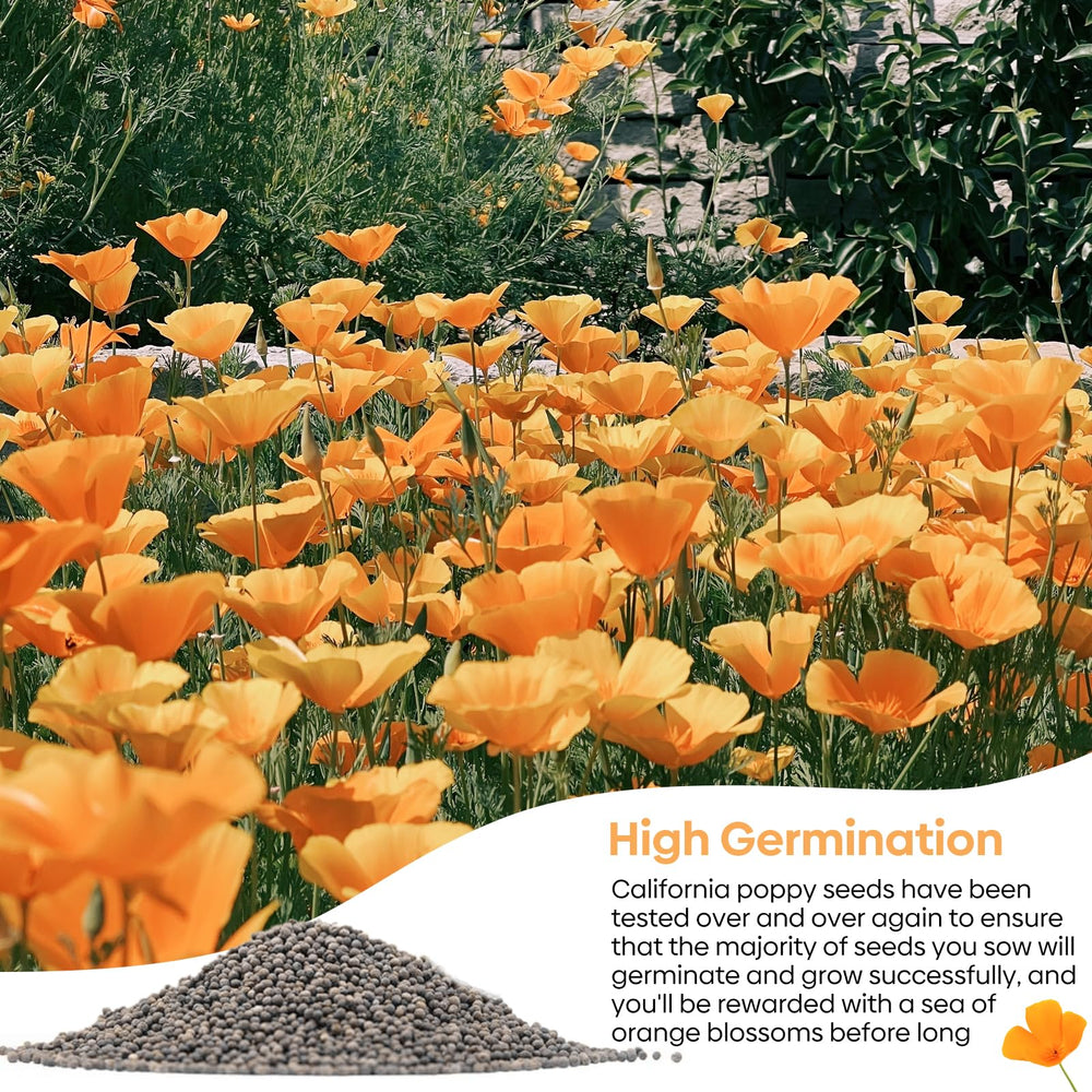 Groundio California Poppy Seeds package side view