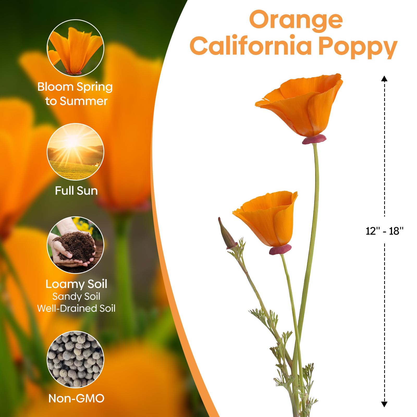 Groundio California Poppy Seeds planting guide and instructions