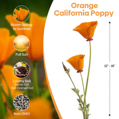 Groundio California Poppy Seeds planting guide and instructions