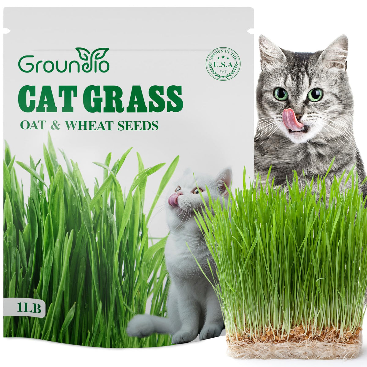 Groundio Cat Grass Seeds 16 oz front view in packaging