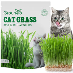 Groundio Cat Grass Seeds 16 oz front view in packaging