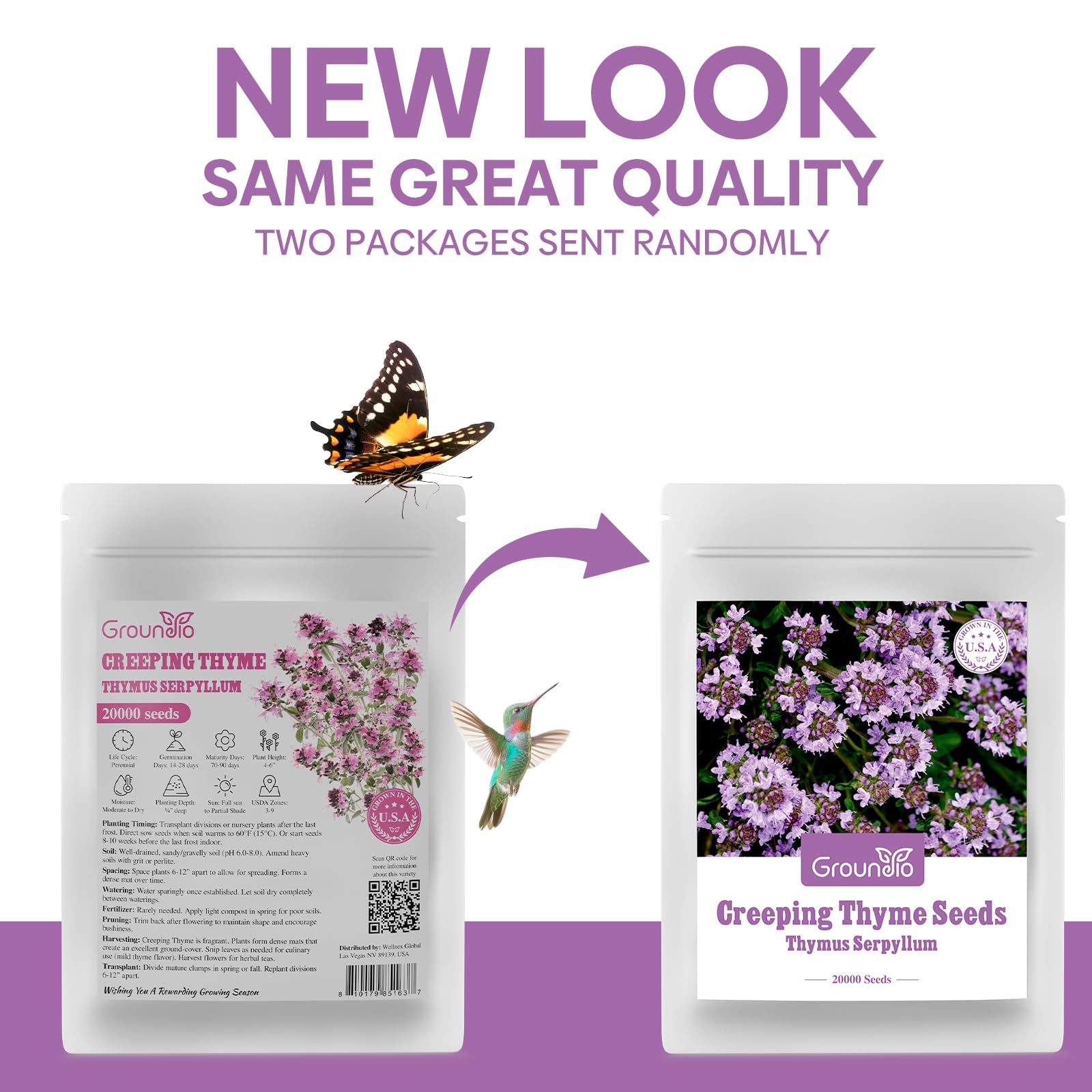 Groundio Creeping Thyme Seeds back with planting instructions