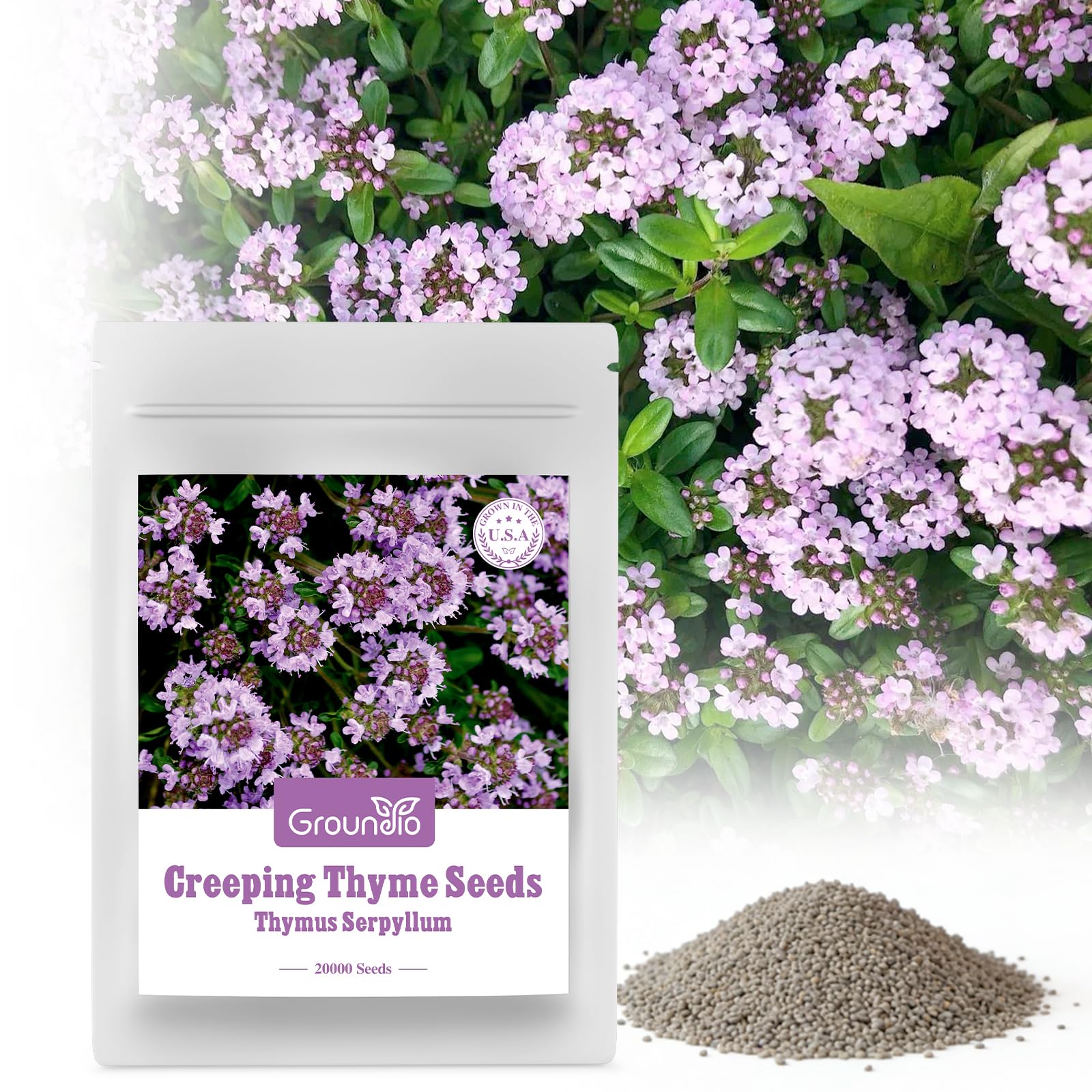 Groundio Creeping Thyme Seeds pack front view