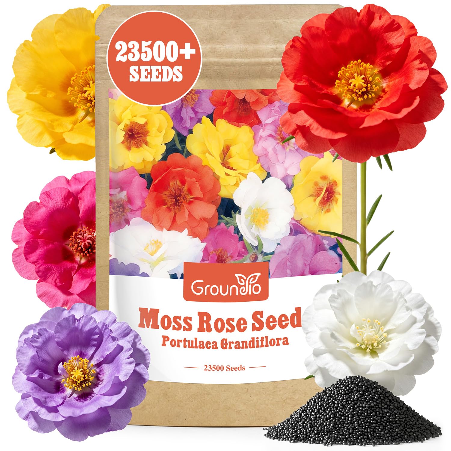 Groundio Mixed Moss Rose Seeds pack front view