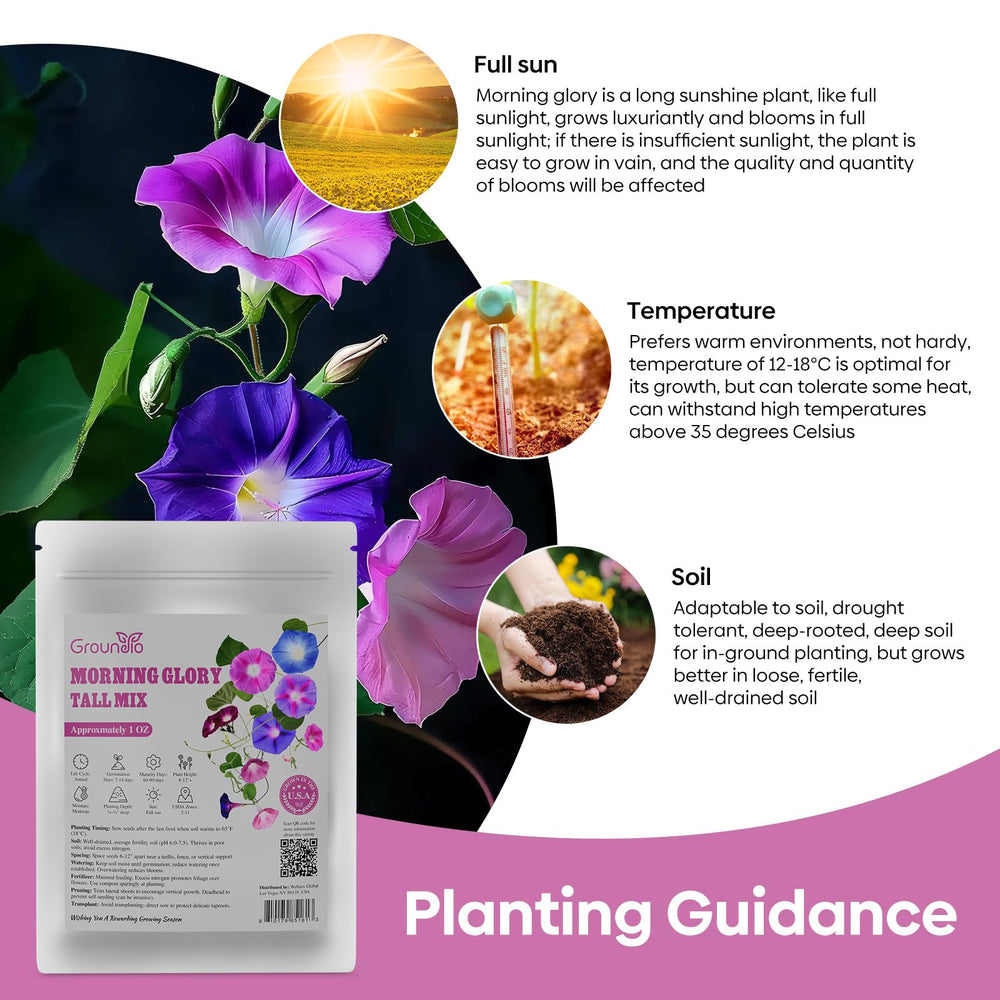Groundio Morning Glory seeds in moisture-proof aluminum foil bag