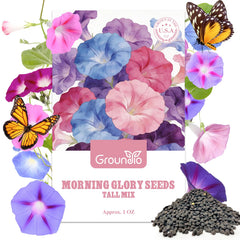 Groundio Morning Glory Seeds package front view with mixed colour seeds