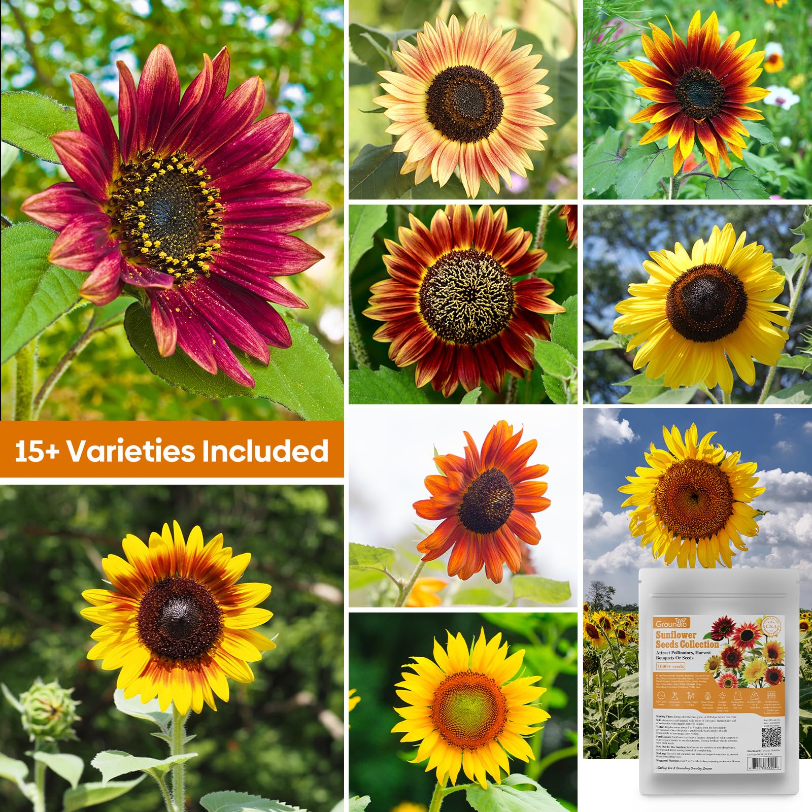 Groundio sunflower seeds planting guide on packaging