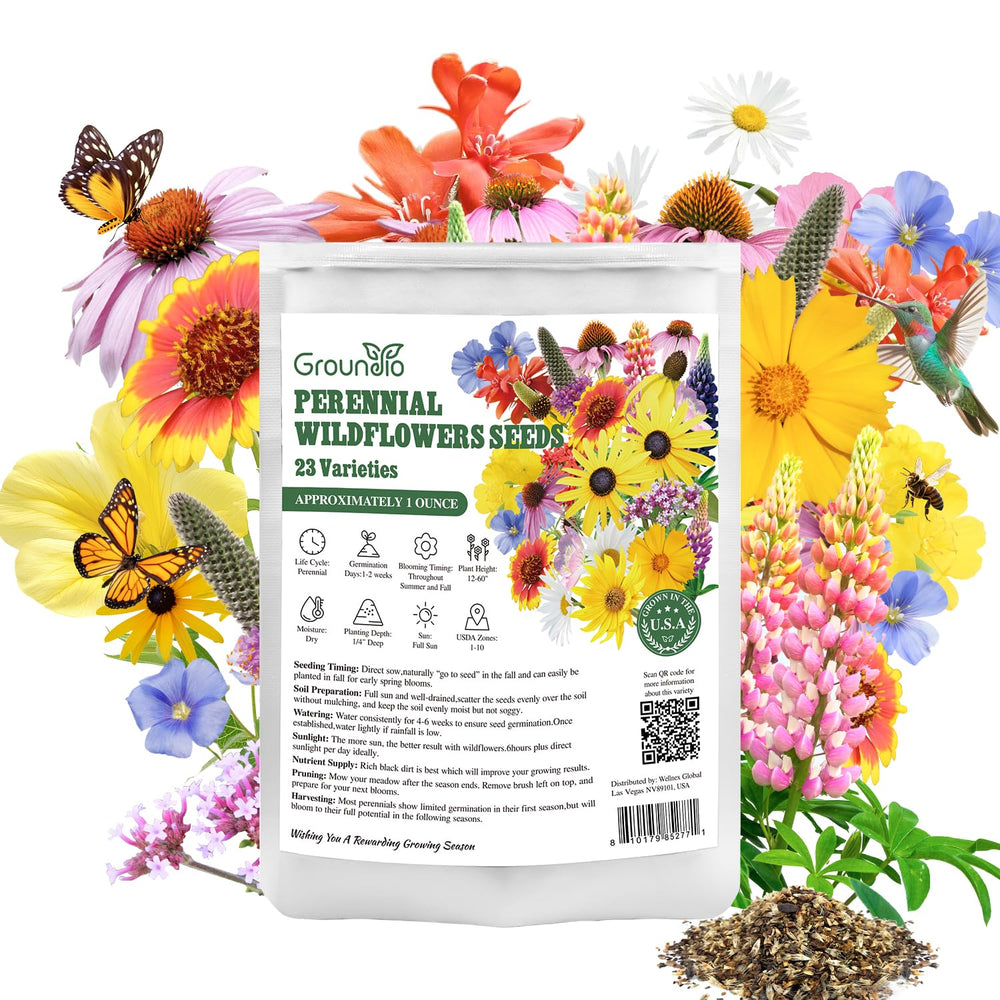 Groundio wildflower seeds displayed with gardening tools