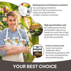 Groundio wildflower seeds in a garden setting with flowers blooming