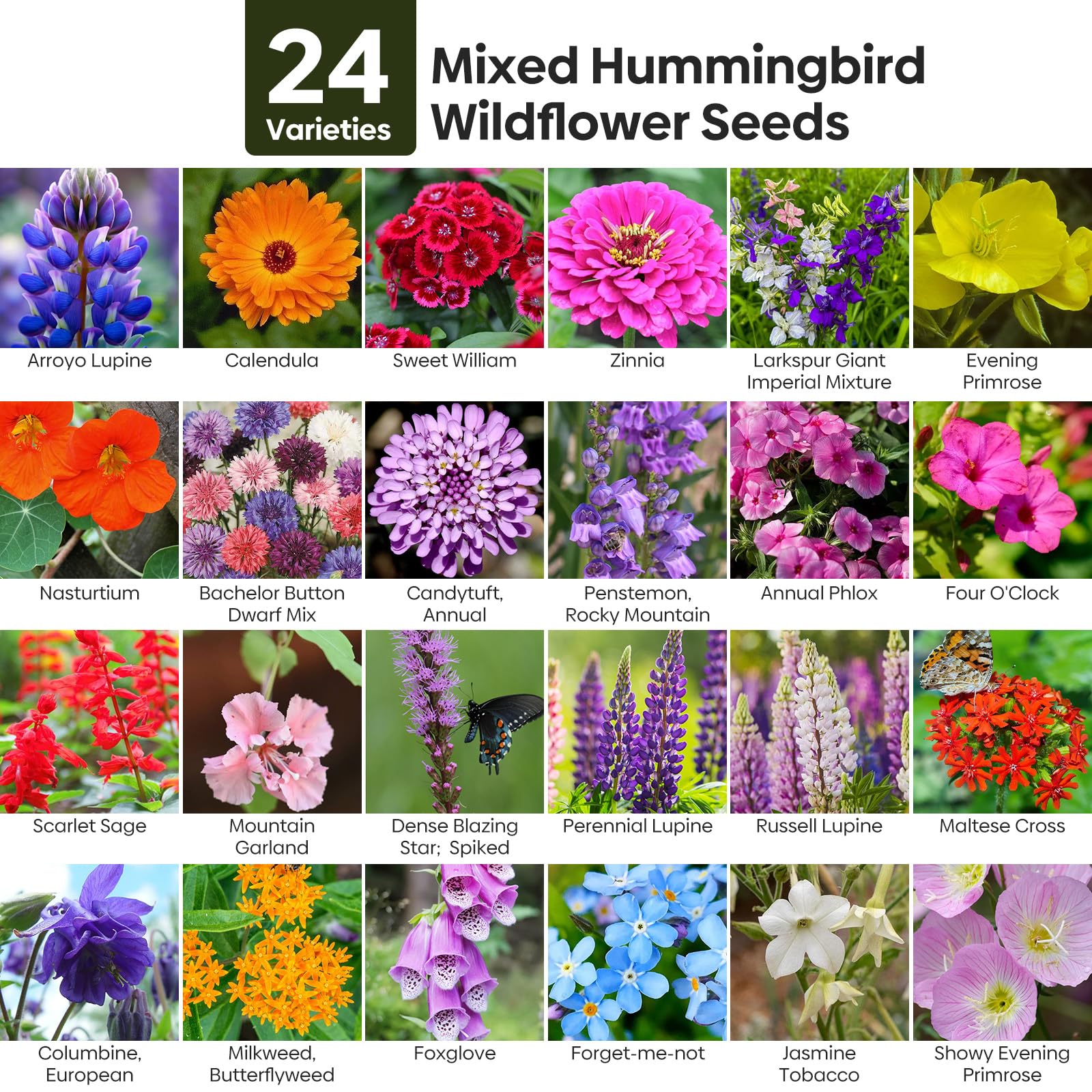 Groundio wildflower seeds mix back view with planting instructions