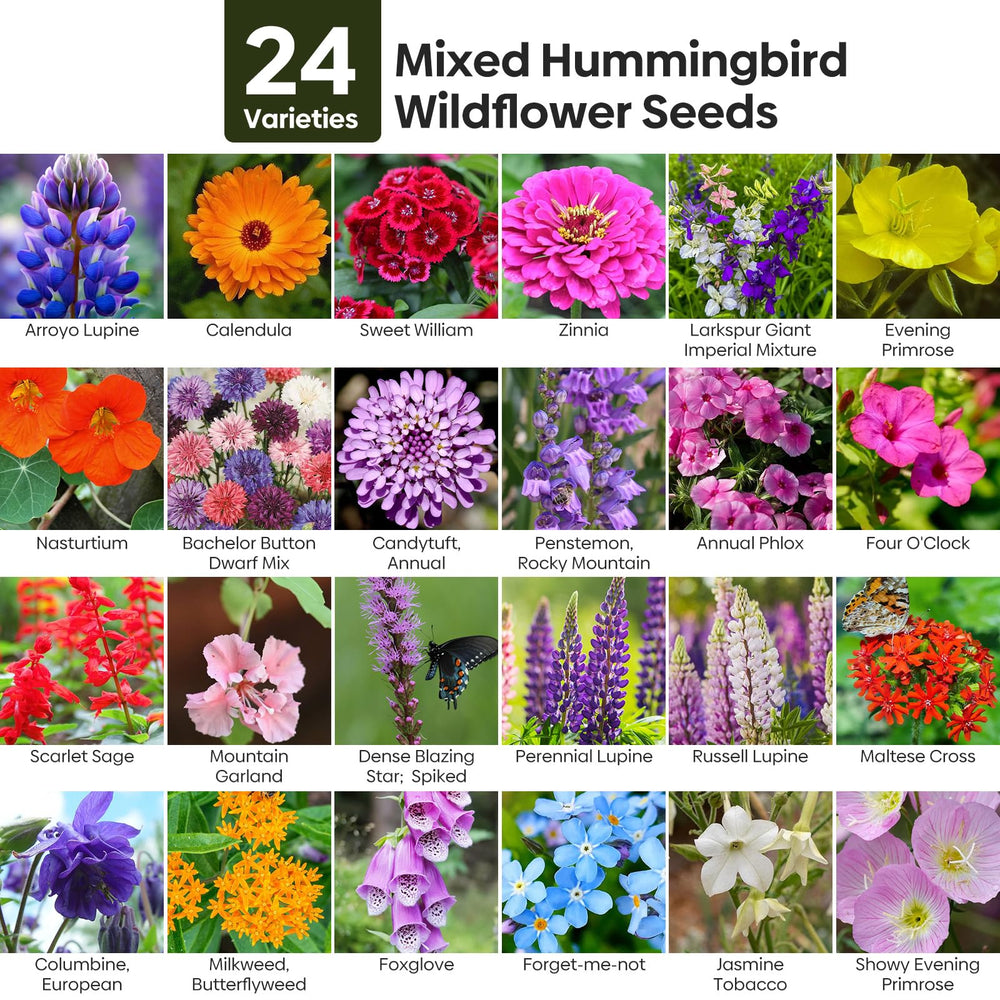 Groundio wildflower seeds mix back view with planting instructions