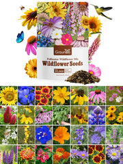 Groundio Wildflower Seeds Mix pack front view with colourful flowers