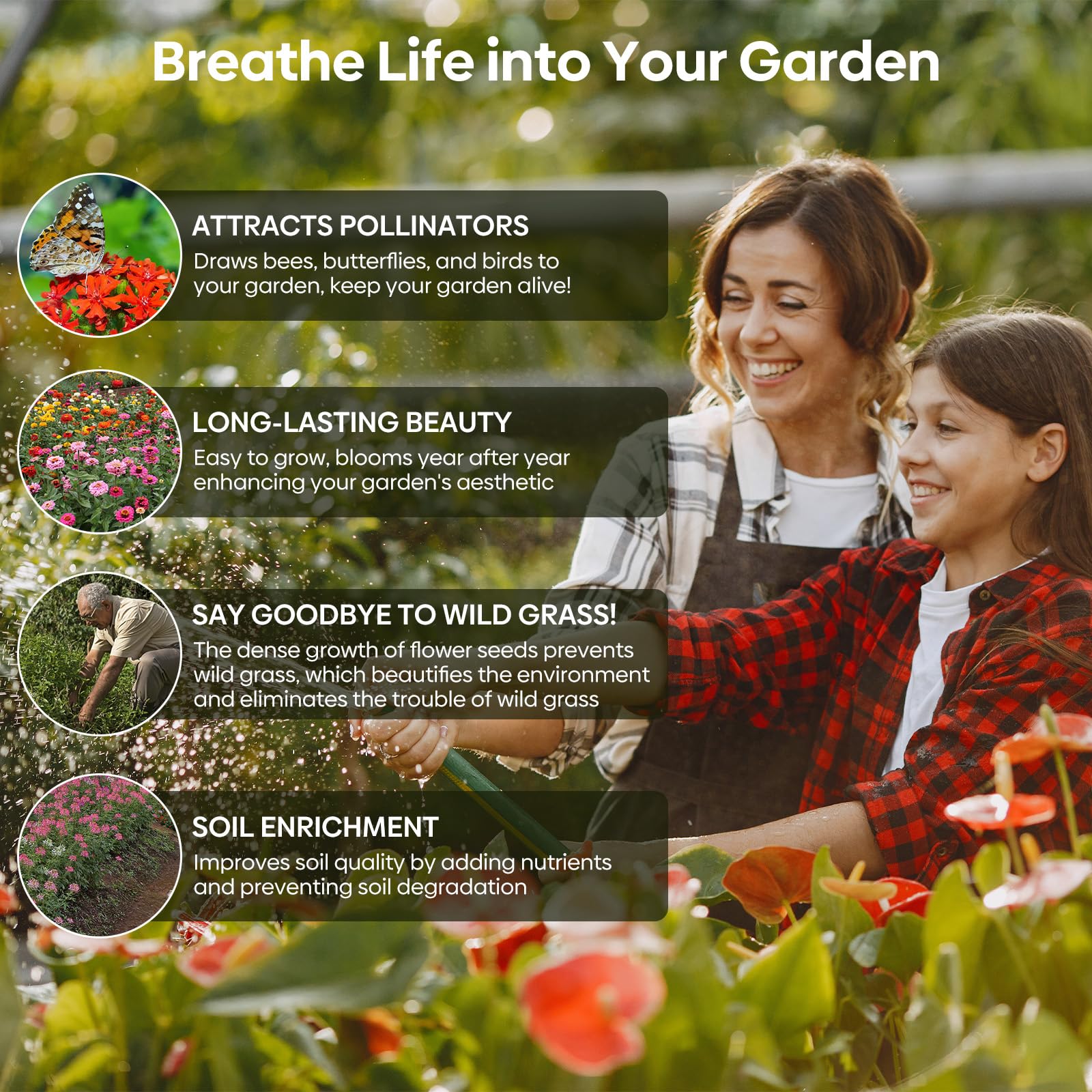 Groundio Wildflower Seeds Mix planting instructions on the back